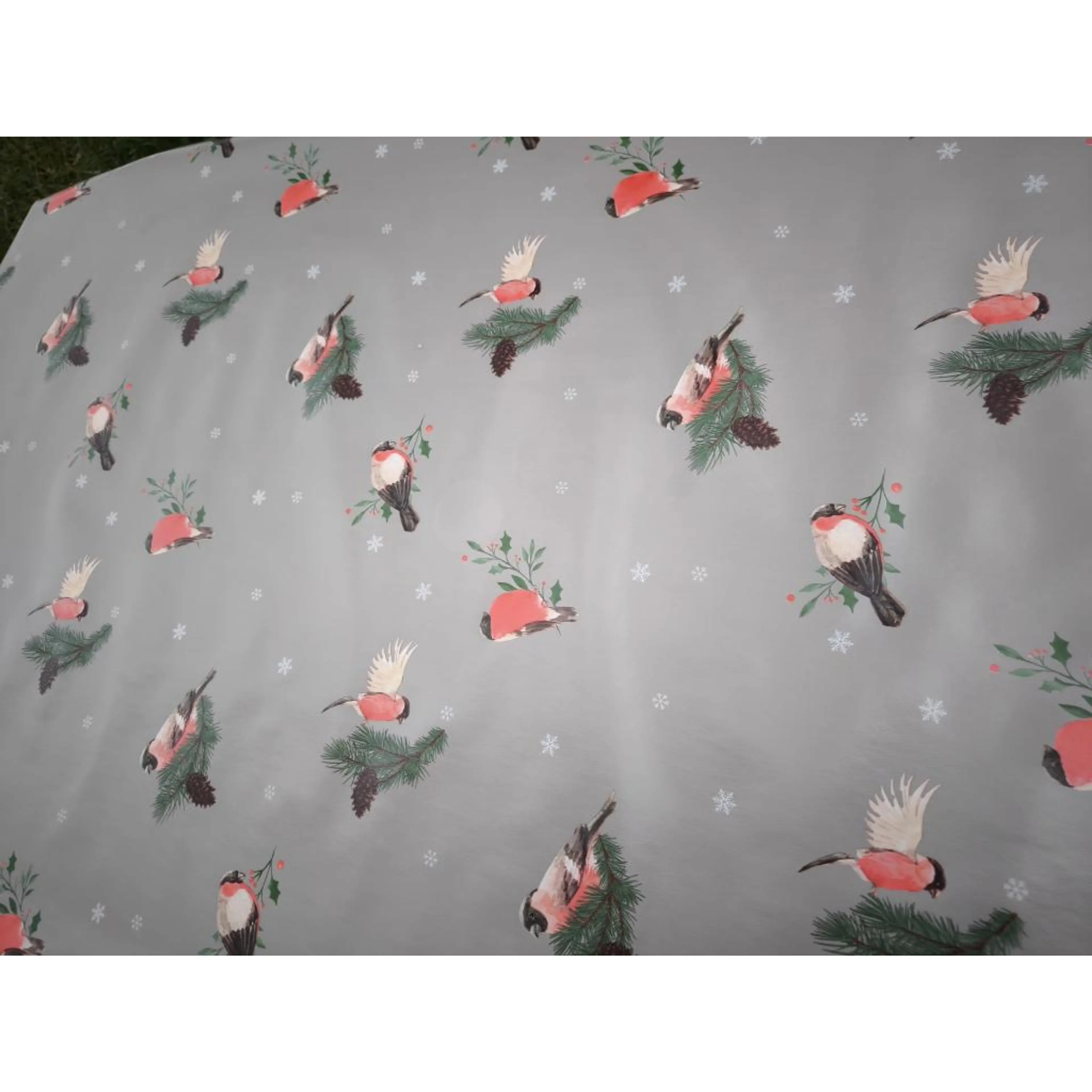 Птичка с борче