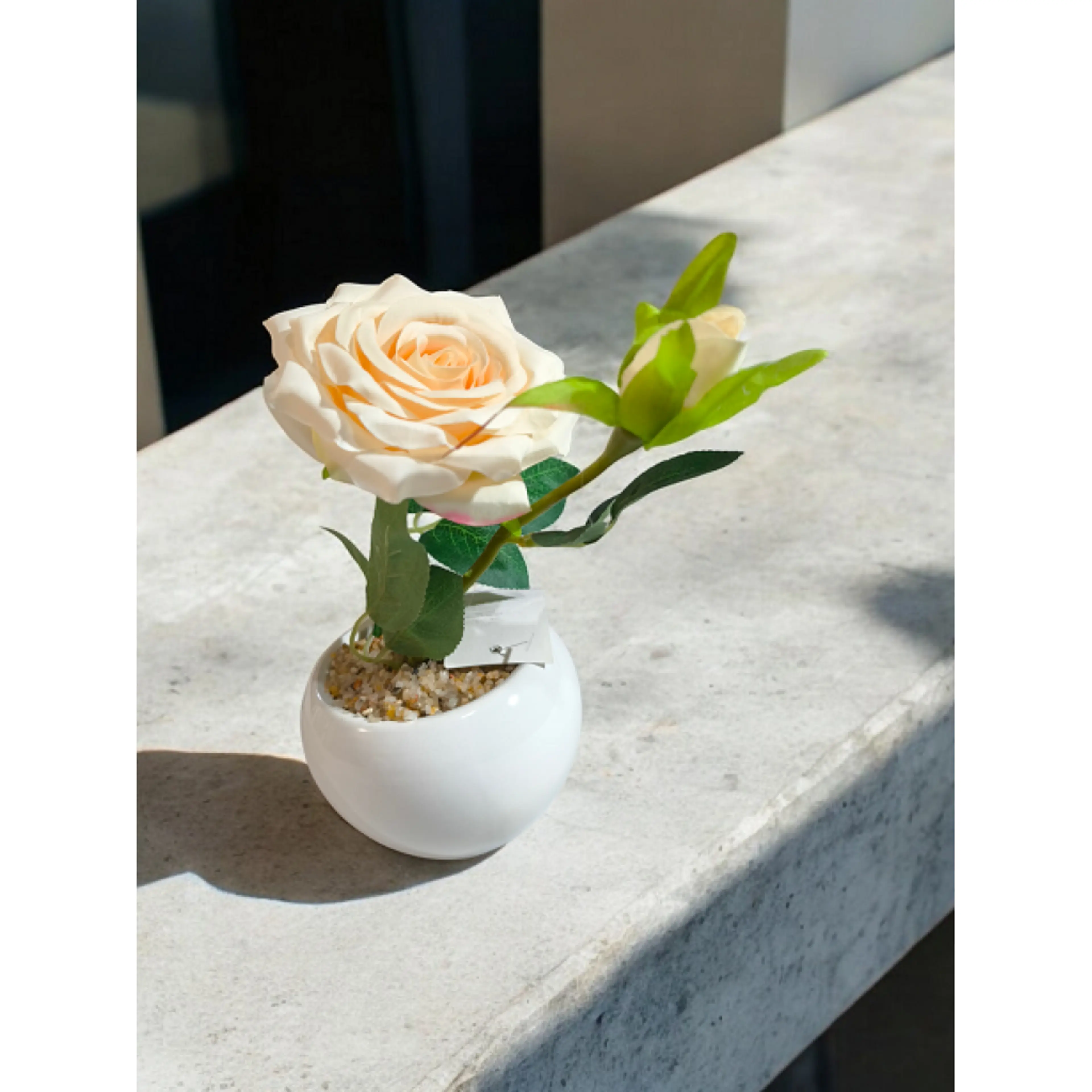 Декоративно цвете бяла роза