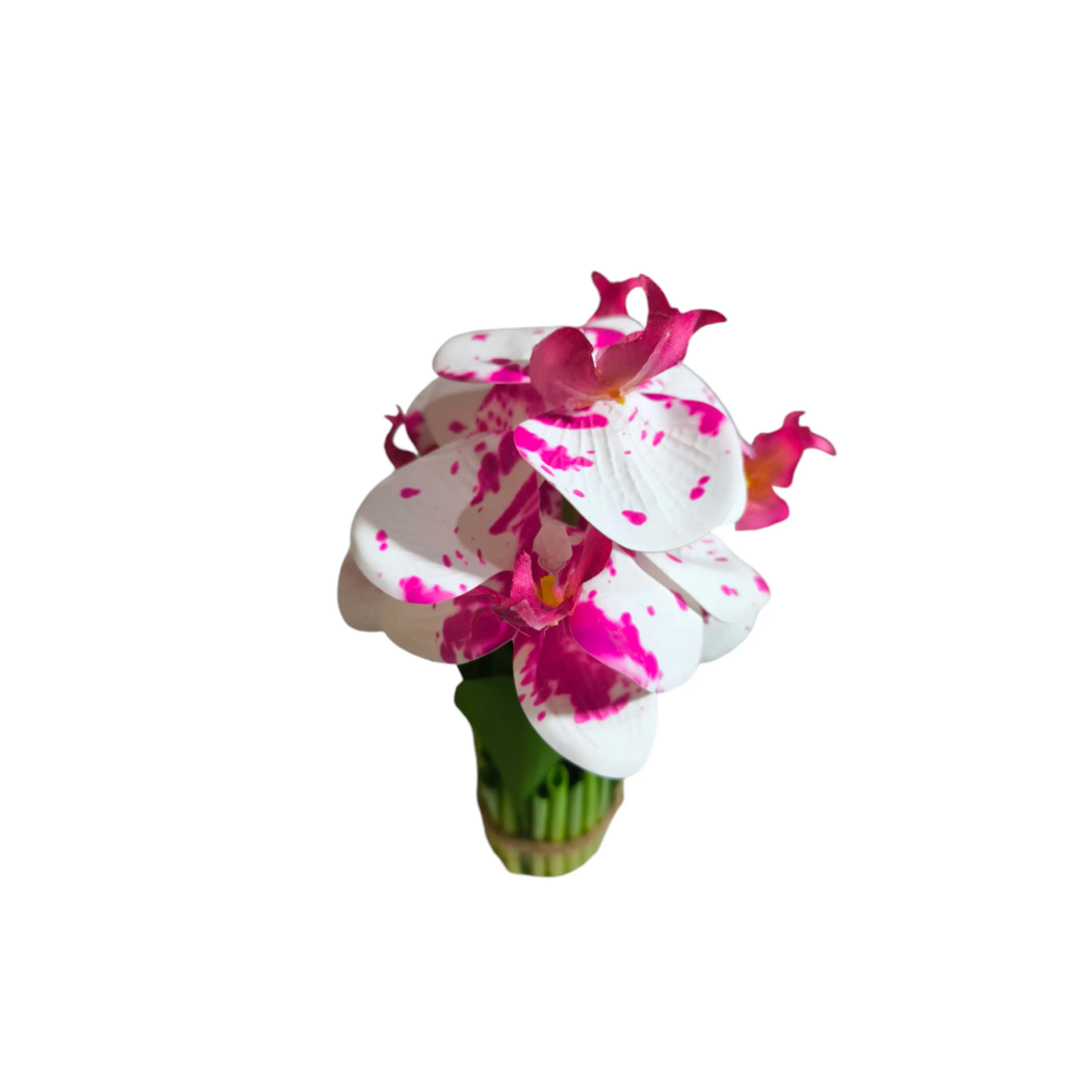 Декоративно цвете орхидея