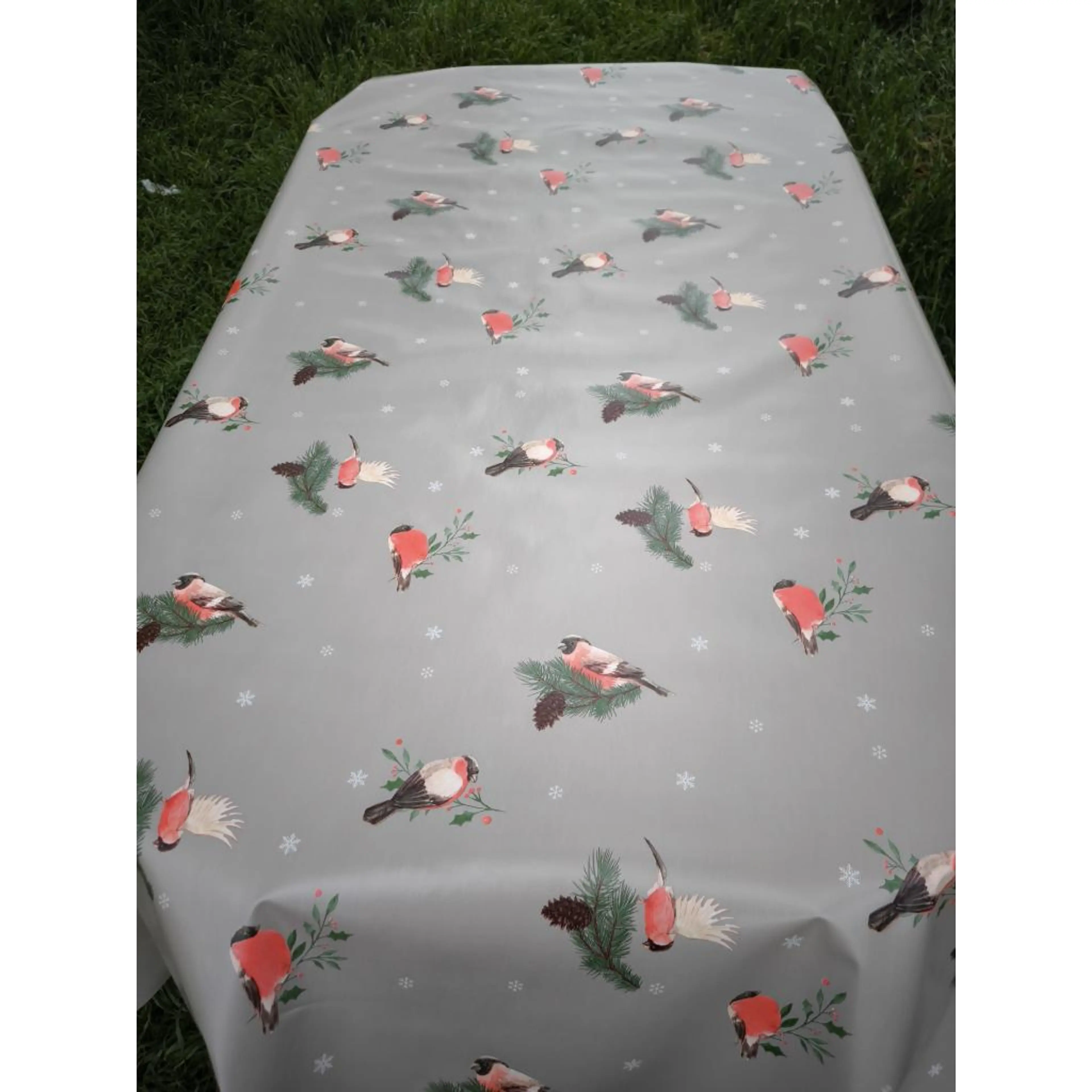 Птичка с борче