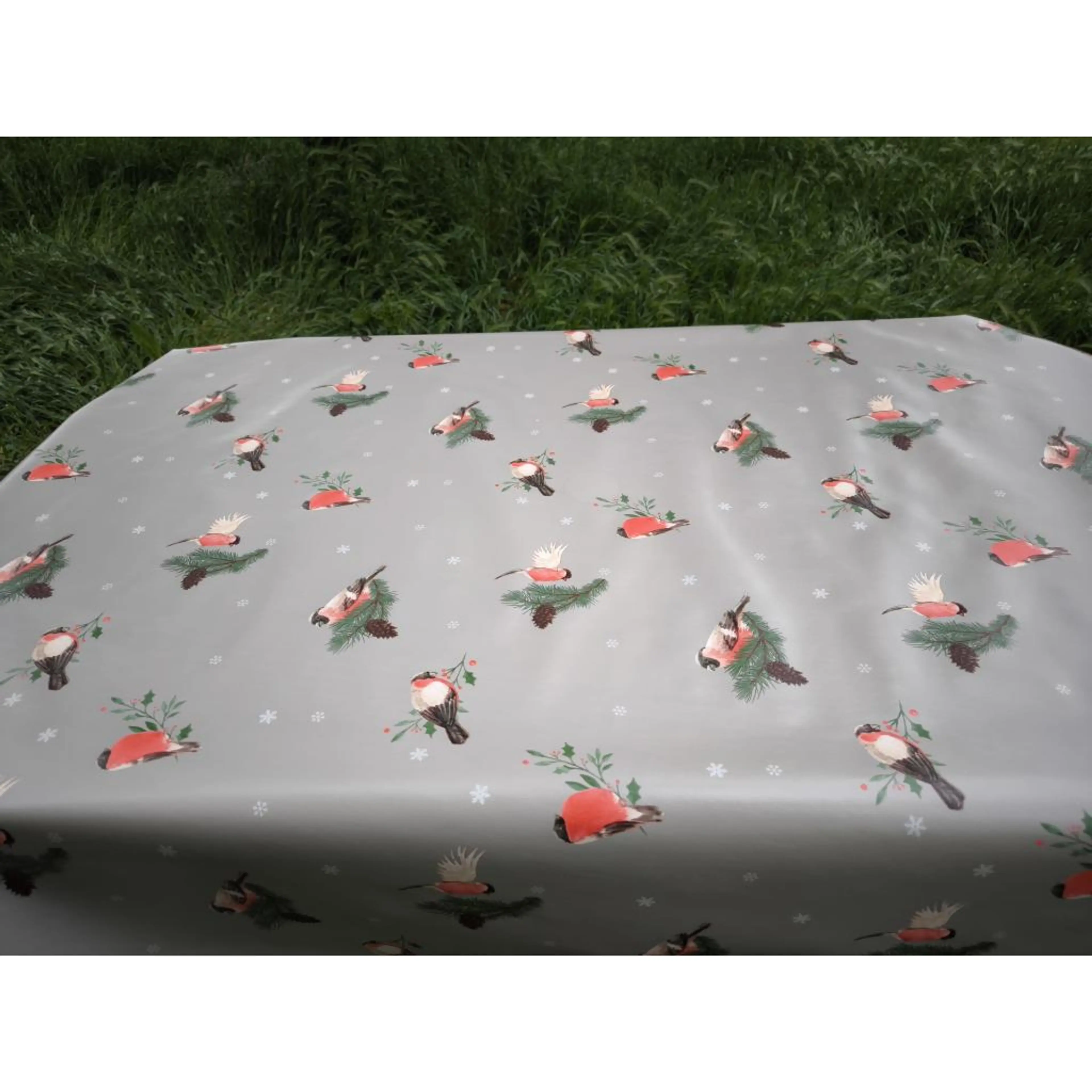 Птичка с борче